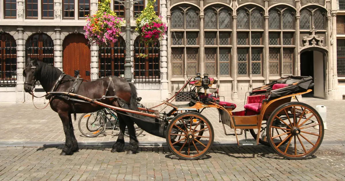 Horse Drawn Chariot Street Parking